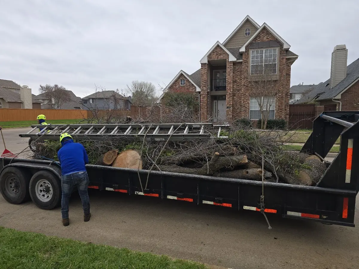 Expert Tree Fertilization with proper safety equipment in Rices Landing